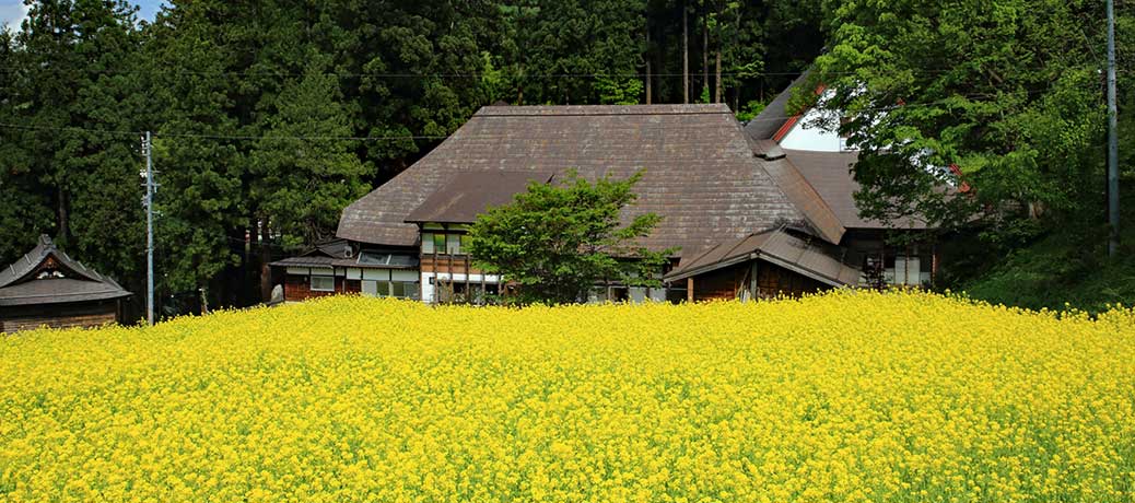 栄村さかえ倶楽部スキー場