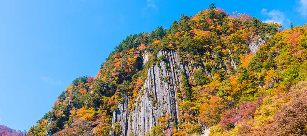 栄村さかえ倶楽部スキー場