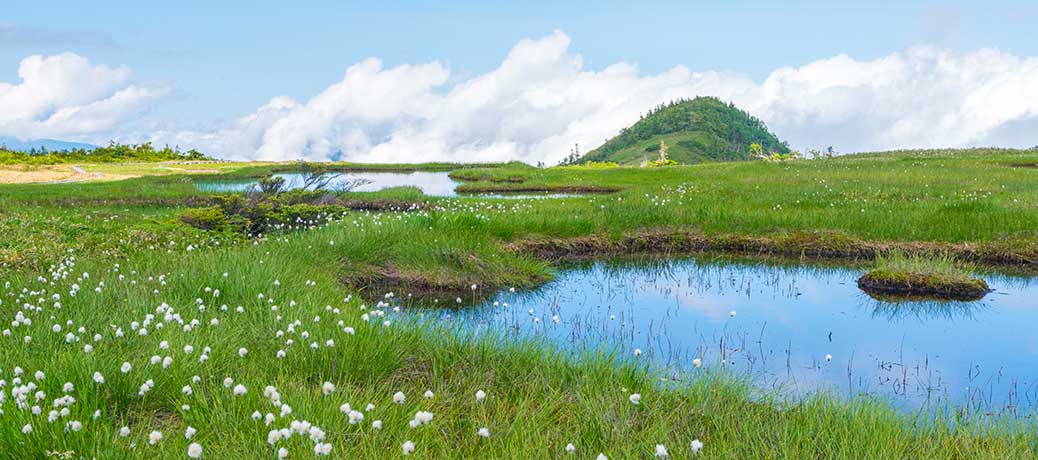 栄村さかえ倶楽部スキー場